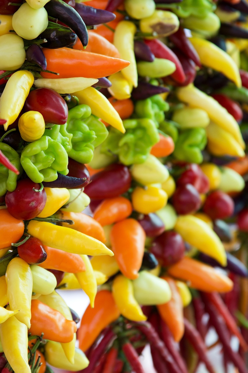 Hier werden verschiedene Paprika und Chili Sorten vorgestellt, die dieses Jahr im Garten angepflanzt werden.